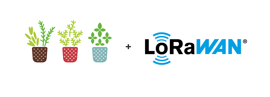 Pflanzen mit IoT-Sensoren & LoRaWAN® überwachen