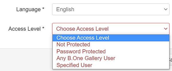 B.One gallery: Select access level for new report