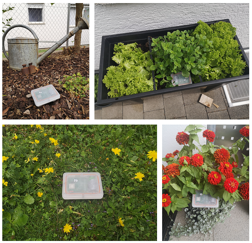 Tektelic Agriculture Soil Moisture Sensor an verschiedenen Installationsorten im Garten